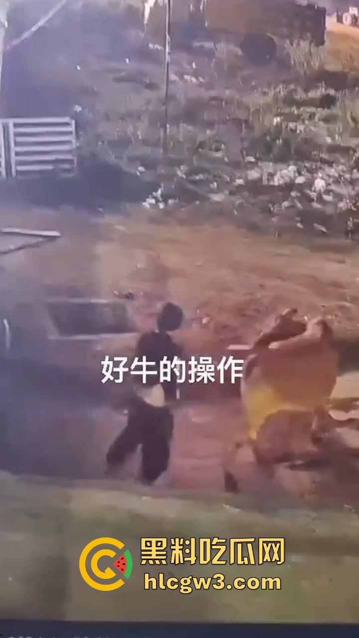 真实操兽：饥渴小哥不吹牛逼操牛逼 拔屌暴插大母牛 省钱免费逼还大 论狠人你是第一人！-3