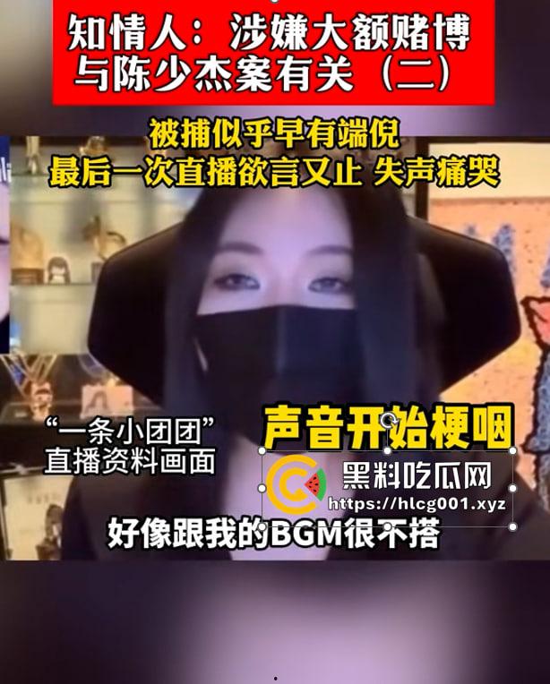 重磅!抖音千万网红【一条小团团】原名【瞿玉婷】因参与重大赌博案被捕都是其一事件,经过某大佬操作还有三陪服务!! 涉及金额千万-10